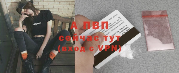 дживик Россошь